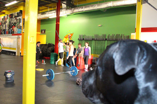 Gym «CrossFit Frederick, LLC.», reviews and photos, 5119 Pegasus Ct B, Frederick, MD 21704, USA