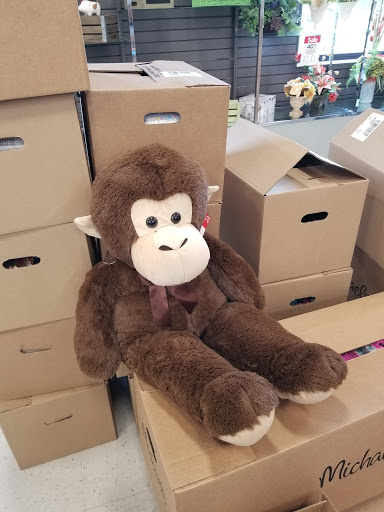 Craft Store «Michaels», reviews and photos, 8105 Moores Ln Ste 1700, Brentwood, TN 37027, USA