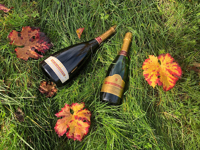 Earl DAVID - Vignoble DAVID à Blasimon