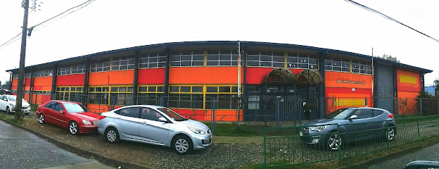 Colegio deportivo municipal Valdivia