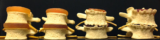 6155 Fuller Ct, Alexandria, VA 22310, USA