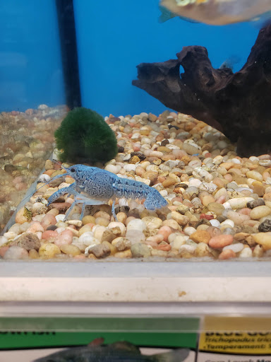 Pet Supply Store «Pet Supplies Plus», reviews and photos, 1970 Portage Trail, Cuyahoga Falls, OH 44223, USA