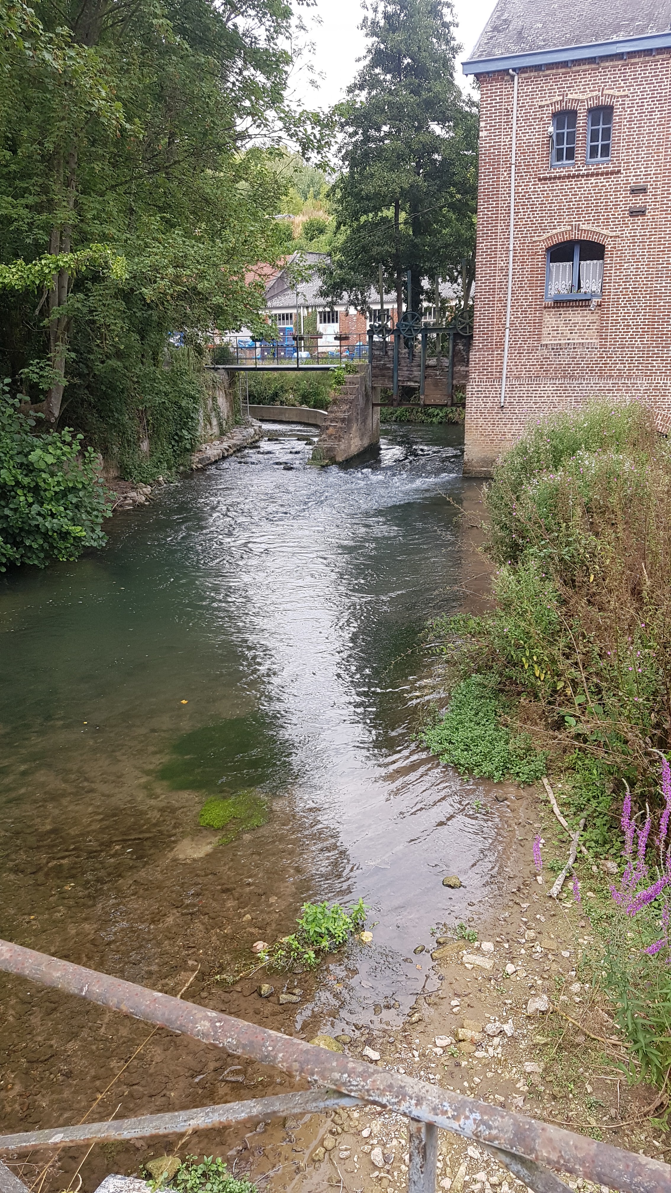 Photo n° 11 de l'avis de Sylvana.� fait le 22/08/2022 à 19:10