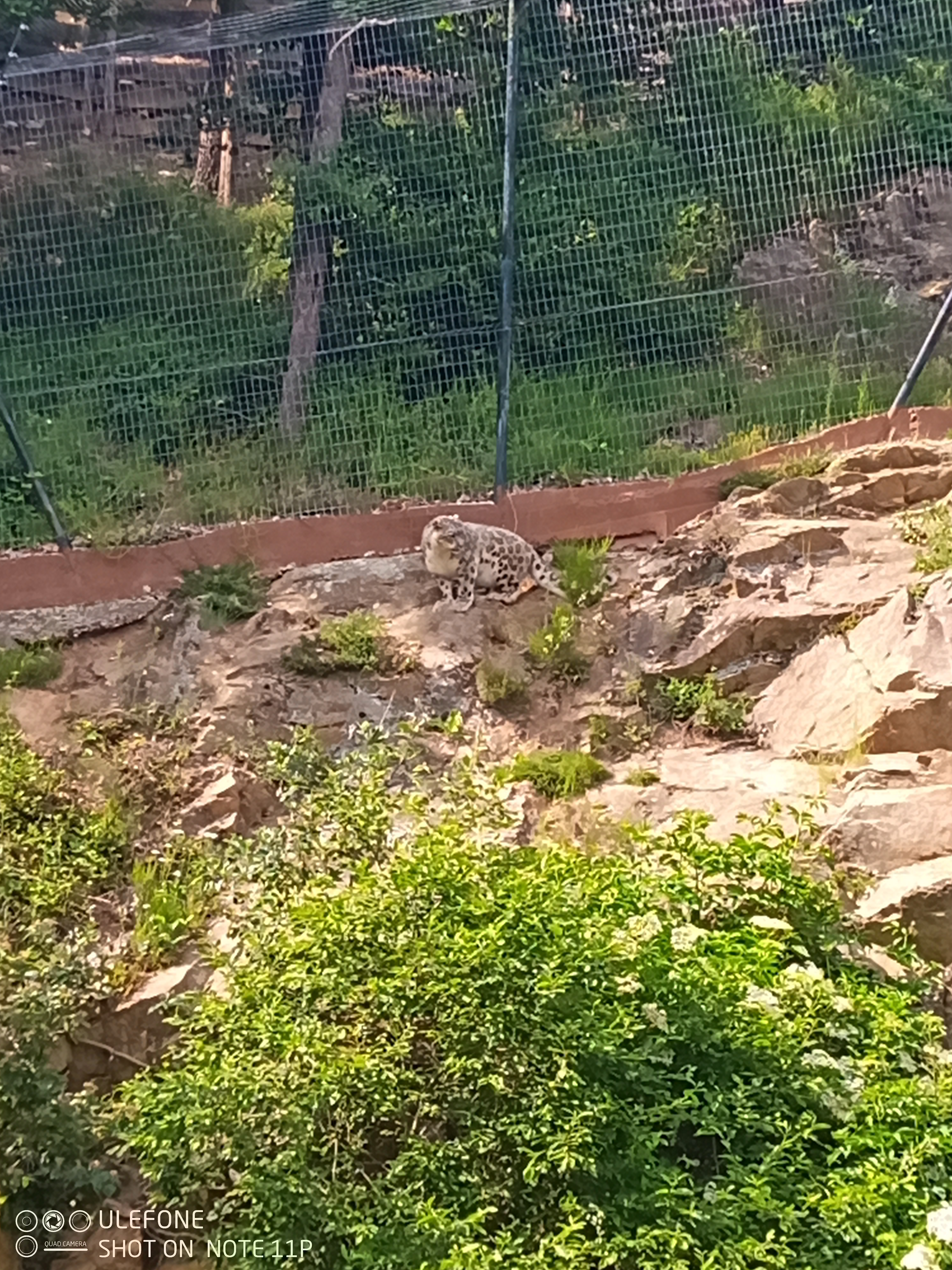 Photo n° 9 de l'avis de bastien.e fait le 20/06/2023 à 20:39