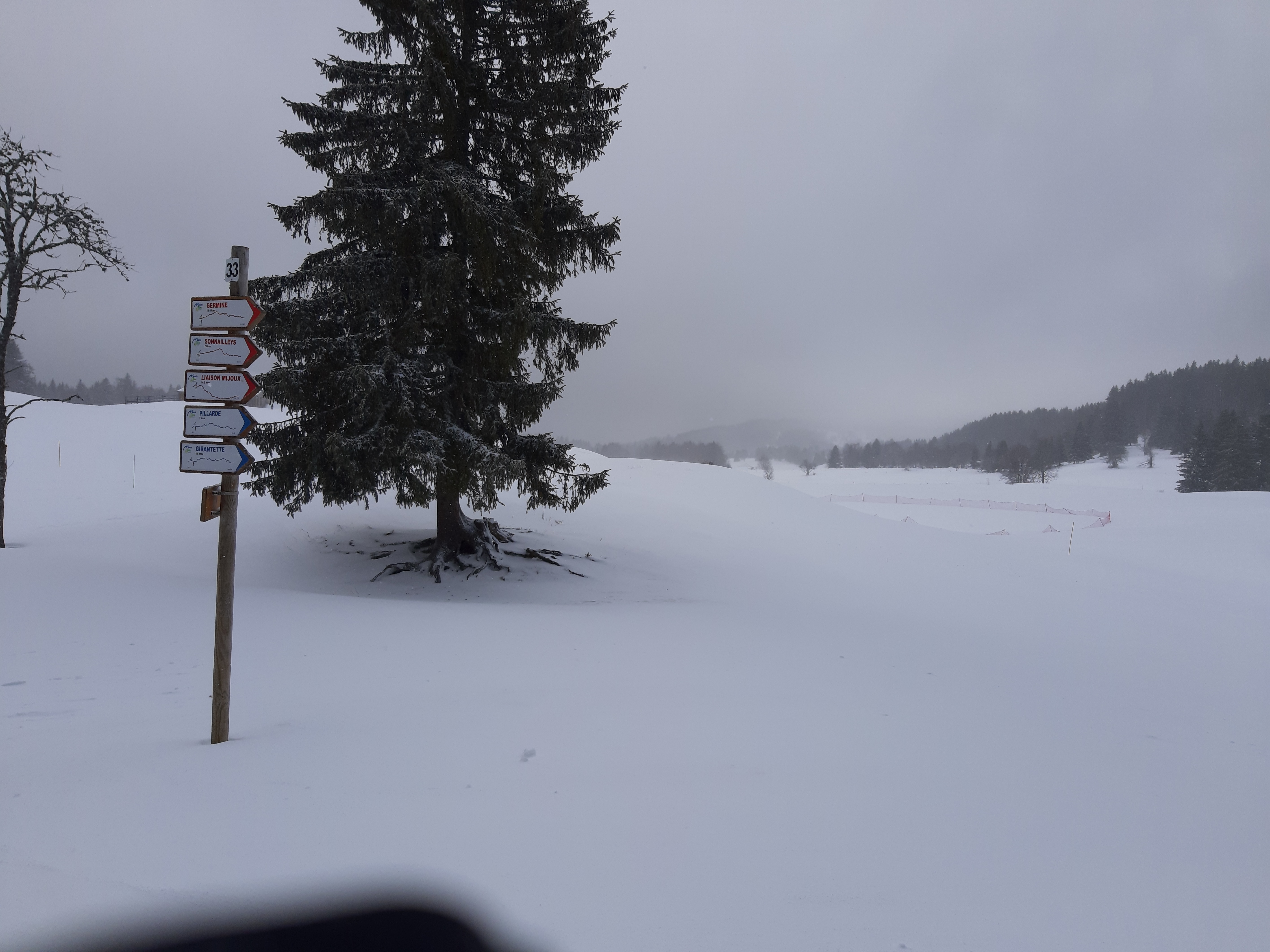 Photo n° 2 de l'avis de Véronique.A fait le 04/02/2020 à 15:11