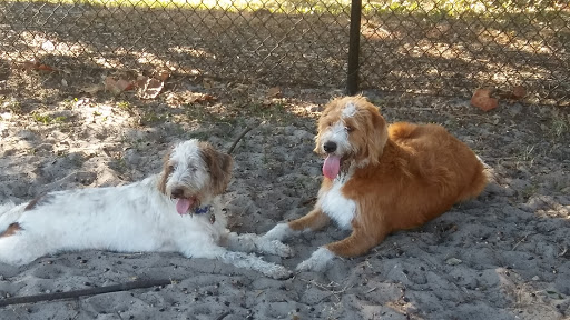 Dog Park «Achieva Paw Park», reviews and photos, 1659 Virginia St, Dunedin, FL 34698, USA