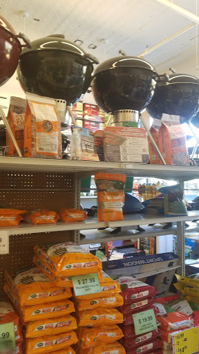 Hardware Store «Lemoi Ace Hardware», reviews and photos, 1008 Davis St, Evanston, IL 60201, USA