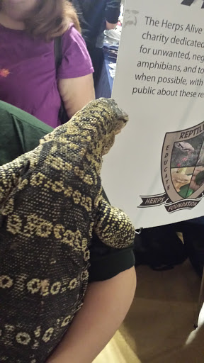 Reptile Store «Cleveland Reptile Show», reviews and photos, 17250 Hummel Rd, Brook Park, OH 44142, USA