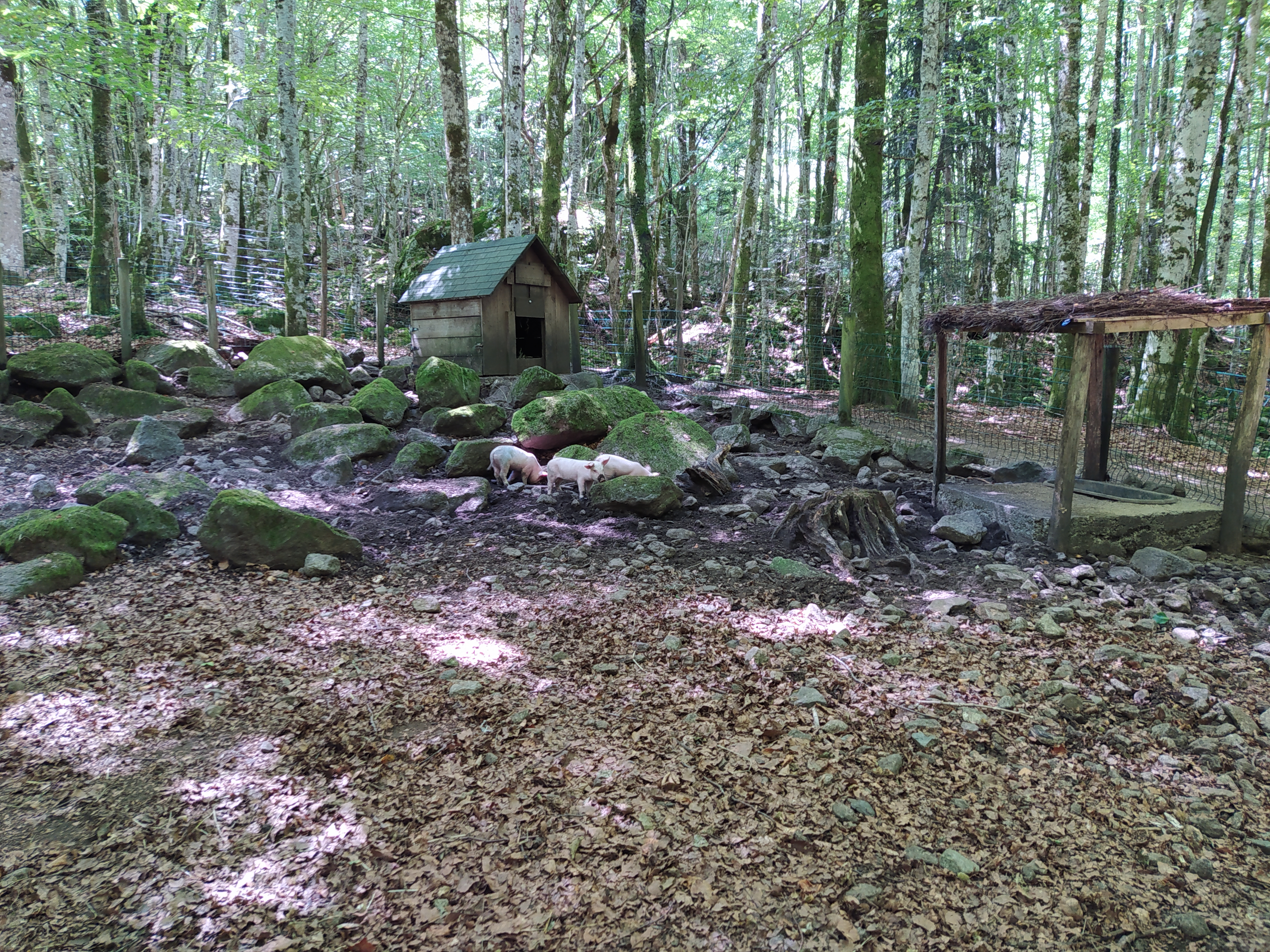 Photo n° 4 de l'avis de Sanchez.u fait le 04/08/2020 à 13:25