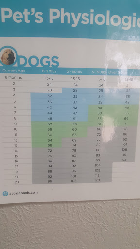 Animal Hospital «Animal Medical Corpus Christi», reviews and photos, 6822 Everhart Rd, Corpus Christi, TX 78413, USA