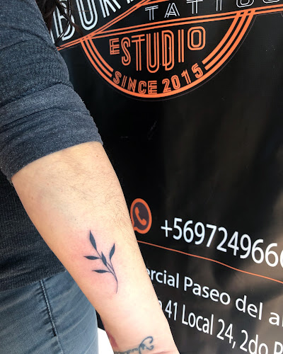 Comentarios y opiniones de Aborigen Ink Tattoo Estudio