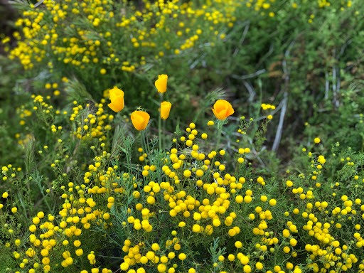 Insurance Agency «Pat Healey State Farm Insurance Agency», reviews and photos