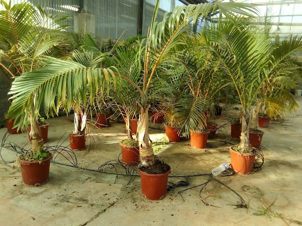 Imagen de Centro de Jardinería Kuka (7 de 32)