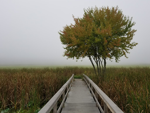 Wildlife Refuge «Great Meadows National Wildlife Refuge», reviews and photos, 73 Weir Hill Rd, Sudbury, MA 01776, USA