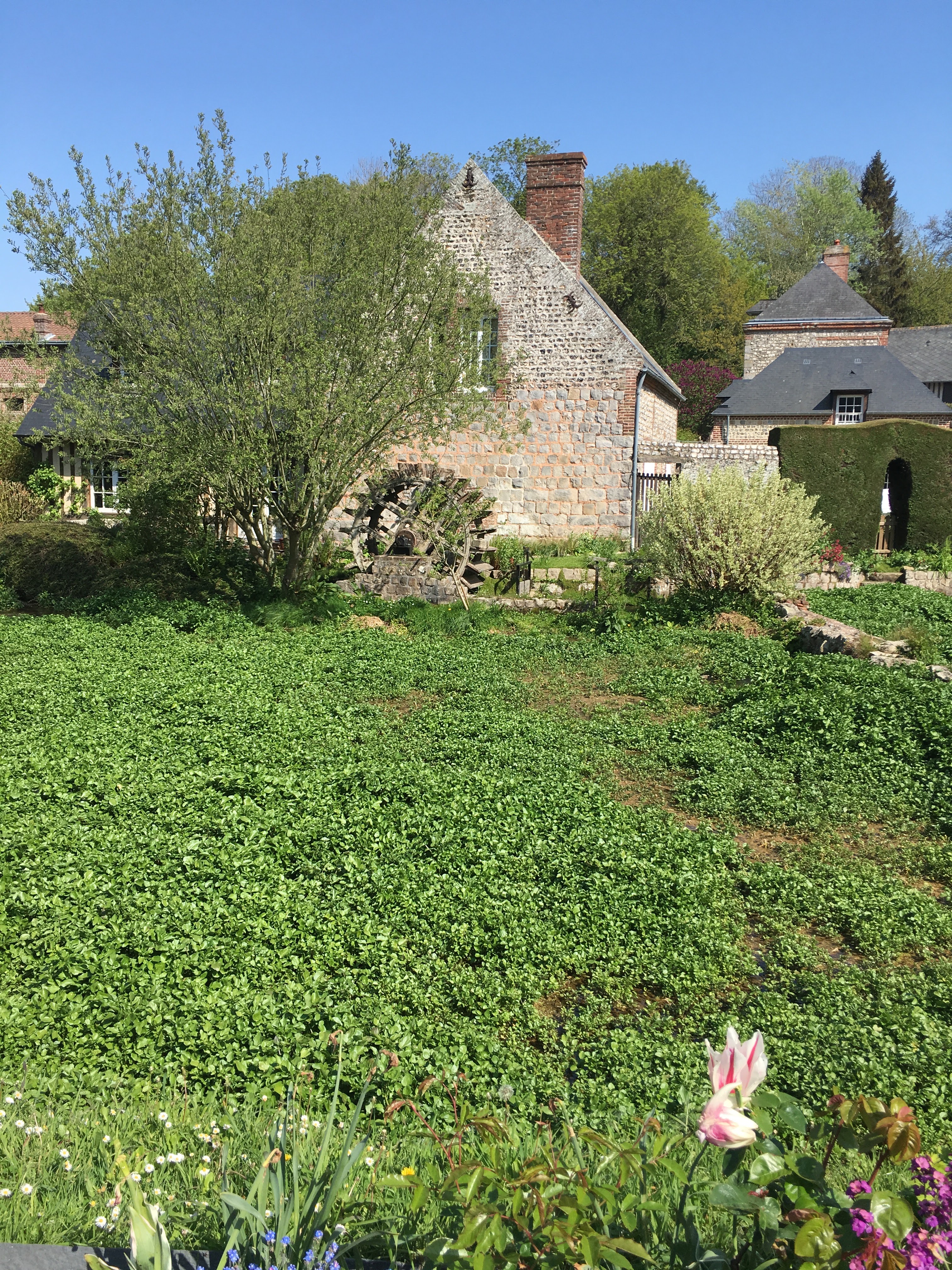 Photo n° 2 de l'avis de Rudisteanu.o fait le 08/05/2018 à 17:07