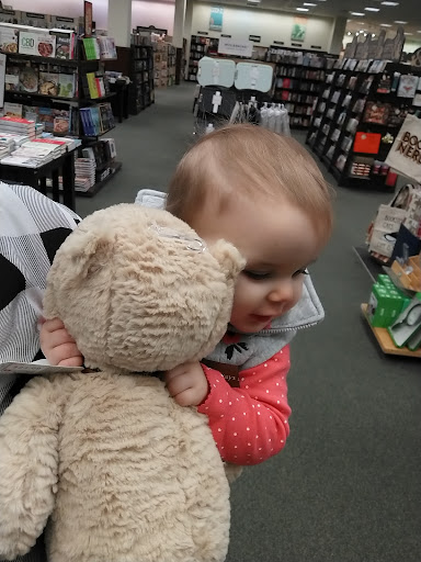 Book Store «Barnes & Noble», reviews and photos, 1738 Hill Rd N, Pickerington, OH 43147, USA