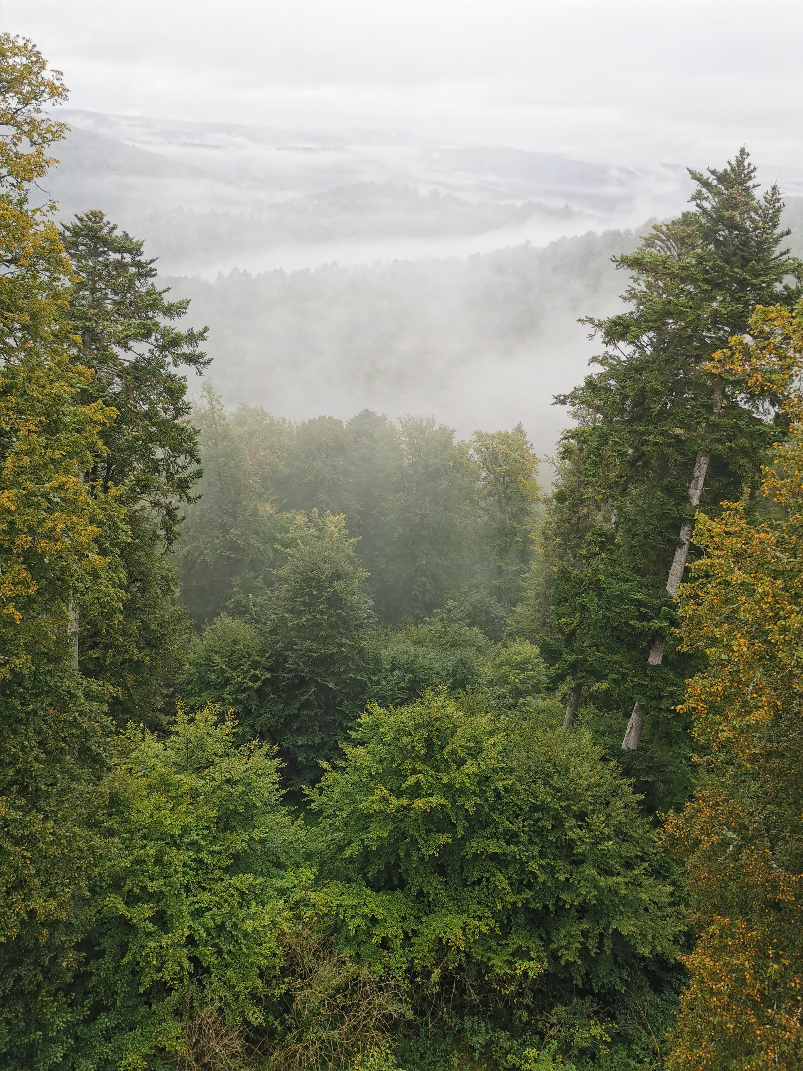 Photo n° 16 de l'avis de Fabrice.Y fait le 28/09/2021 à 08:23