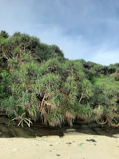 Top 20 cửa hàng akemi Huyện Lý Sơn Quảng Ngãi 2022