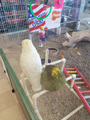 Pet Store «Petland», reviews and photos, 7030 Bandera Rd, San Antonio, TX 78238, USA