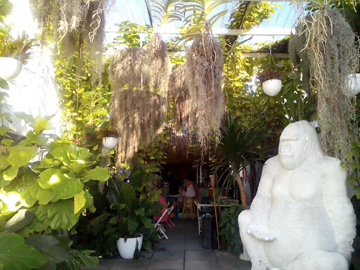 Art Museum «Wynwood Walls», reviews and photos, 2520 NW 2nd Ave, Miami, FL 33127, USA