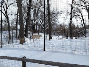 ZooMontana - photo 22