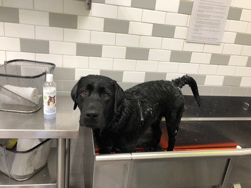 Pet Supply Store «Petco Animal Supplies», reviews and photos, 85 Godwin Ave #23, Midland Park, NJ 07432, USA