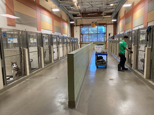 Friends of Upland Animal Shelter image