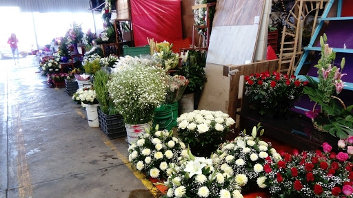 FLOWER MARKET FLOWER TEXCO – Texcoco