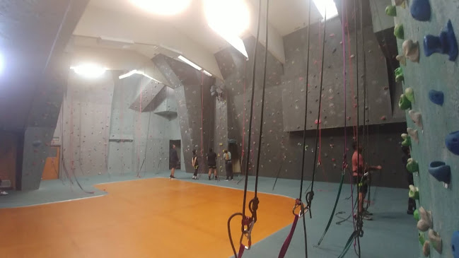 Reviews of Indoor Climbing Wall in Palmerston North - Gym
