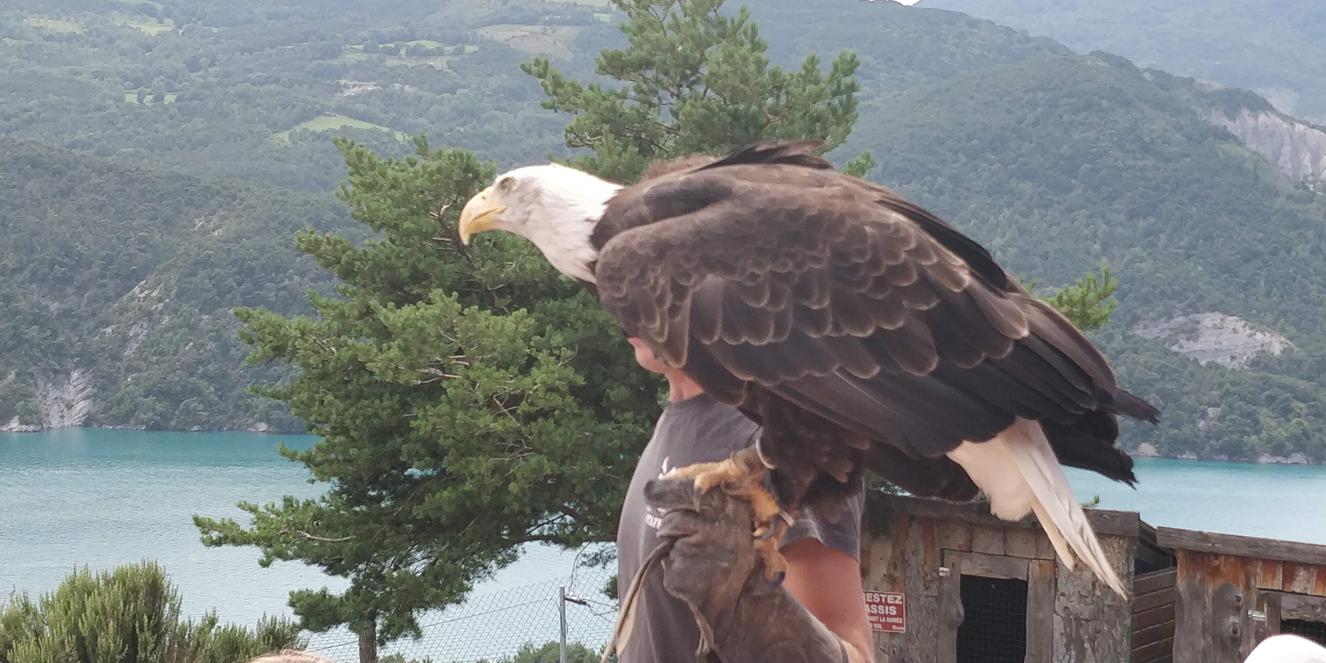 Photo n° 30 de l'avis de Sylvain.e fait le 02/08/2018 à 06:25