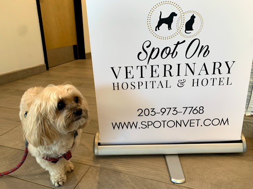 Spot On Veterinary Hospital & Hotel