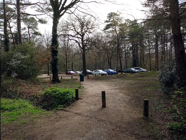 Parkhurst Forest car park - Newport