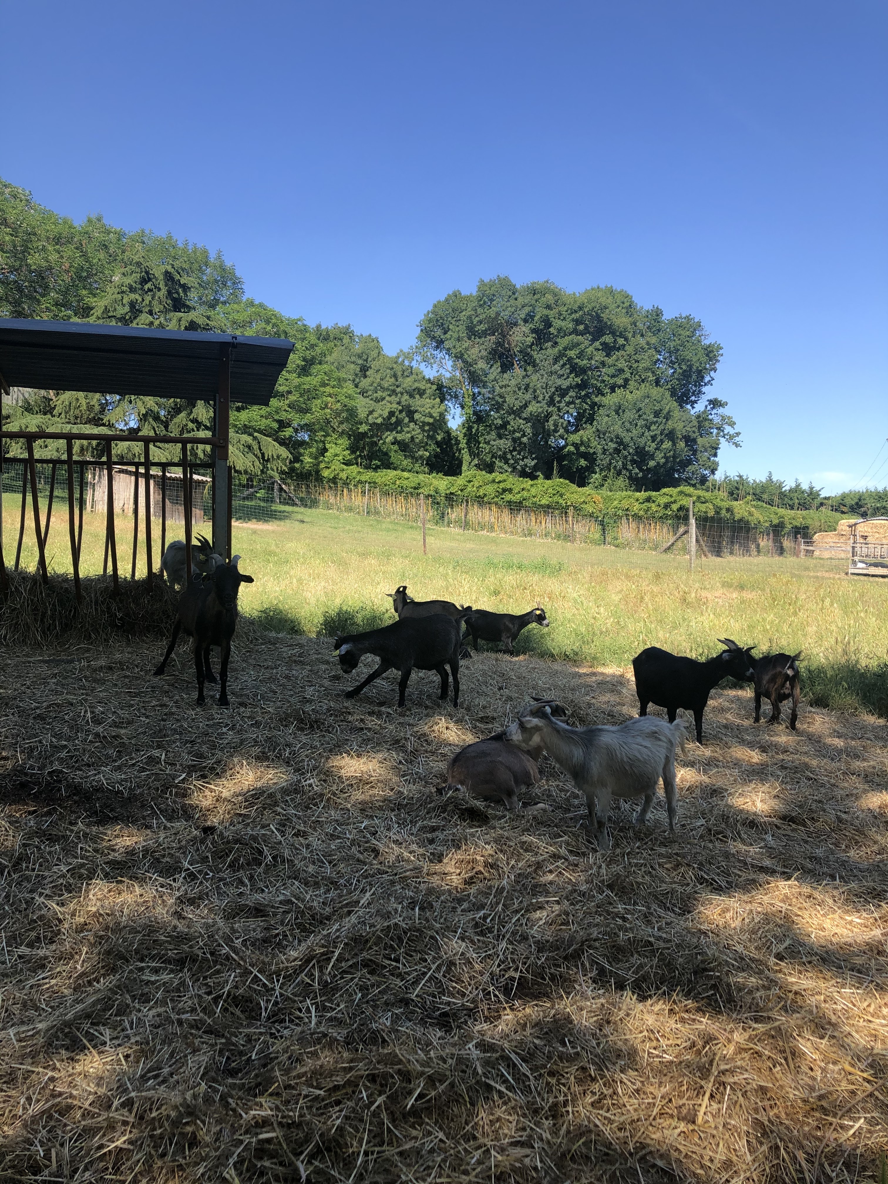 Photo n° 2 de l'avis de Solène. fait le 31/07/2021 à 13:27
