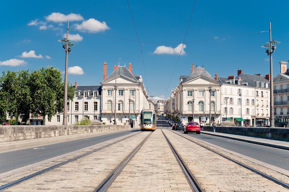 Orléans Val de Loire Sologne Sotheby's International Realty- Immobilier de prestige / luxe à Orléans