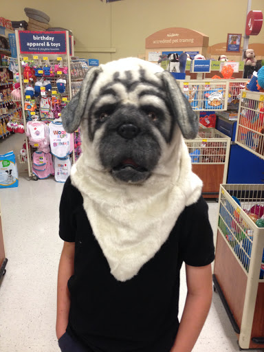 Pet Supply Store «PetSmart», reviews and photos, 7061 Youree Dr, Shreveport, LA 71105, USA