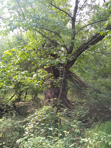 Memorial Park «Veterans Memorial Park», reviews and photos, 60 Bachelor St, Montgomery, NY 12549, USA