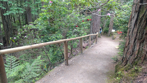 Performing Arts Theater «Kitsap Forest Theater», reviews and photos, 3000 Seabeck Hwy NW, Bremerton, WA 98312, USA