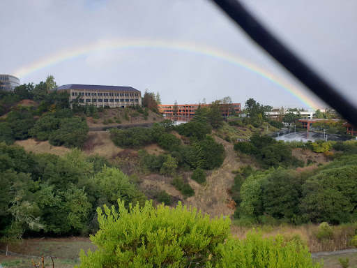 Shopping Mall «Laurelwood Shopping Center», reviews and photos, 1206 W Hillsdale Blvd, San Mateo, CA 94403, USA