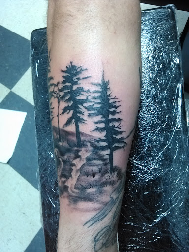 Tattoo Shop «Aacross The Skin Tattoo Studio», reviews and photos, 996 Patton Ave, Asheville, NC 28806, USA