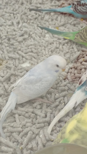 Pet Supply Store «Petco Animal Supplies», reviews and photos, 416 Eisenhower Dr, Hanover, PA 17331, USA