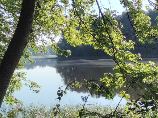 Tourist Attraction «South Shore Park», reviews and photos, 4555 Ragsdale Rd, Acworth, GA 30101, USA