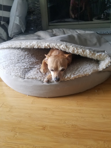 Pet Supply Store «Huron Pet Supply», reviews and photos, 5060 Jackson Rd, Ann Arbor, MI 48103, USA