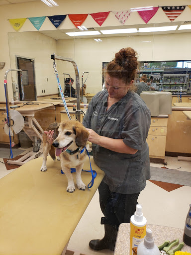 Pet Supply Store «PetSmart», reviews and photos, 47142 Michigan Ave, Canton, MI 48188, USA