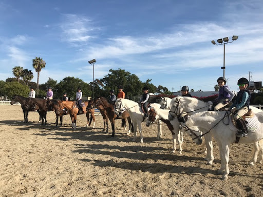 Horse breeder Long Beach