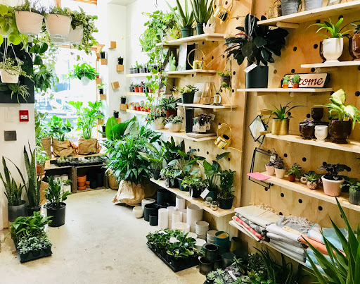 Garden center The Jungle in Kingston (ON) | LiveWay