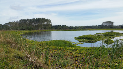 Lagoa Salgueira