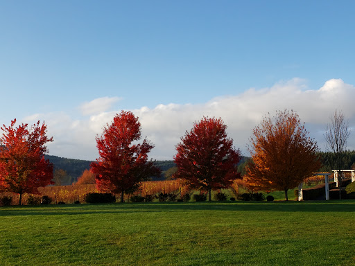 Winery «Zenith Vineyard», reviews and photos, 5657 Zena Rd NW, Salem, OR 97304, USA