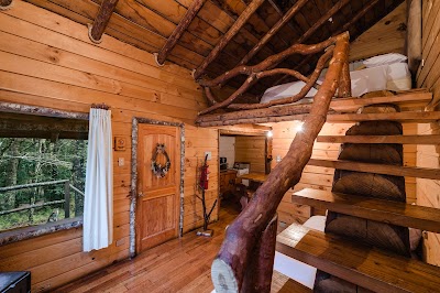 Photos of Caba&ntilde;as del Bosque