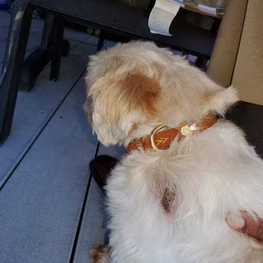 Pet Store «Healthy Spot», reviews and photos, 4718 Lincoln Blvd, Marina Del Rey, CA 90292, USA