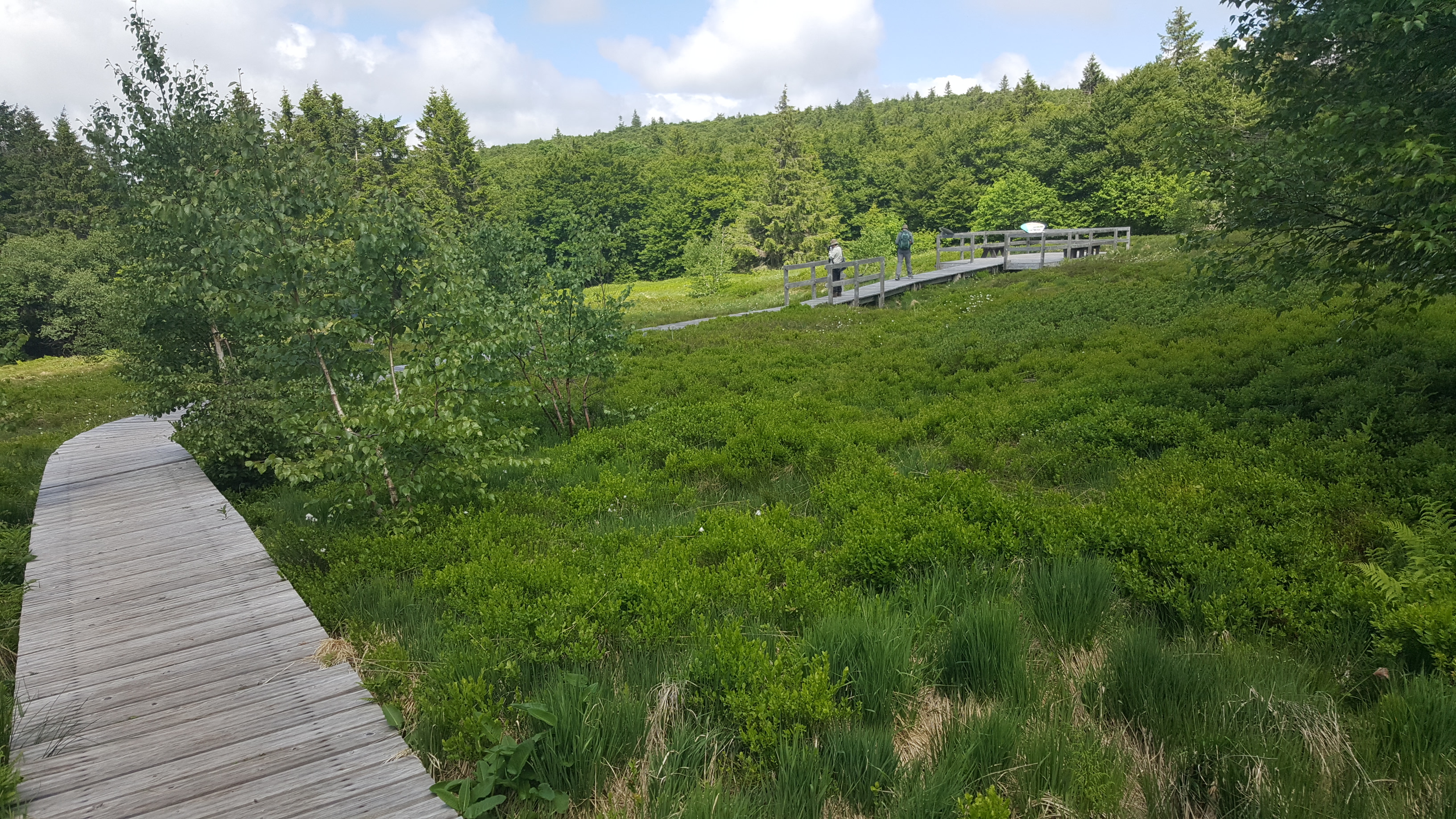 Photo n° 26 de l'avis de Jean-Sébastien.O fait le 23/06/2019 à 16:49